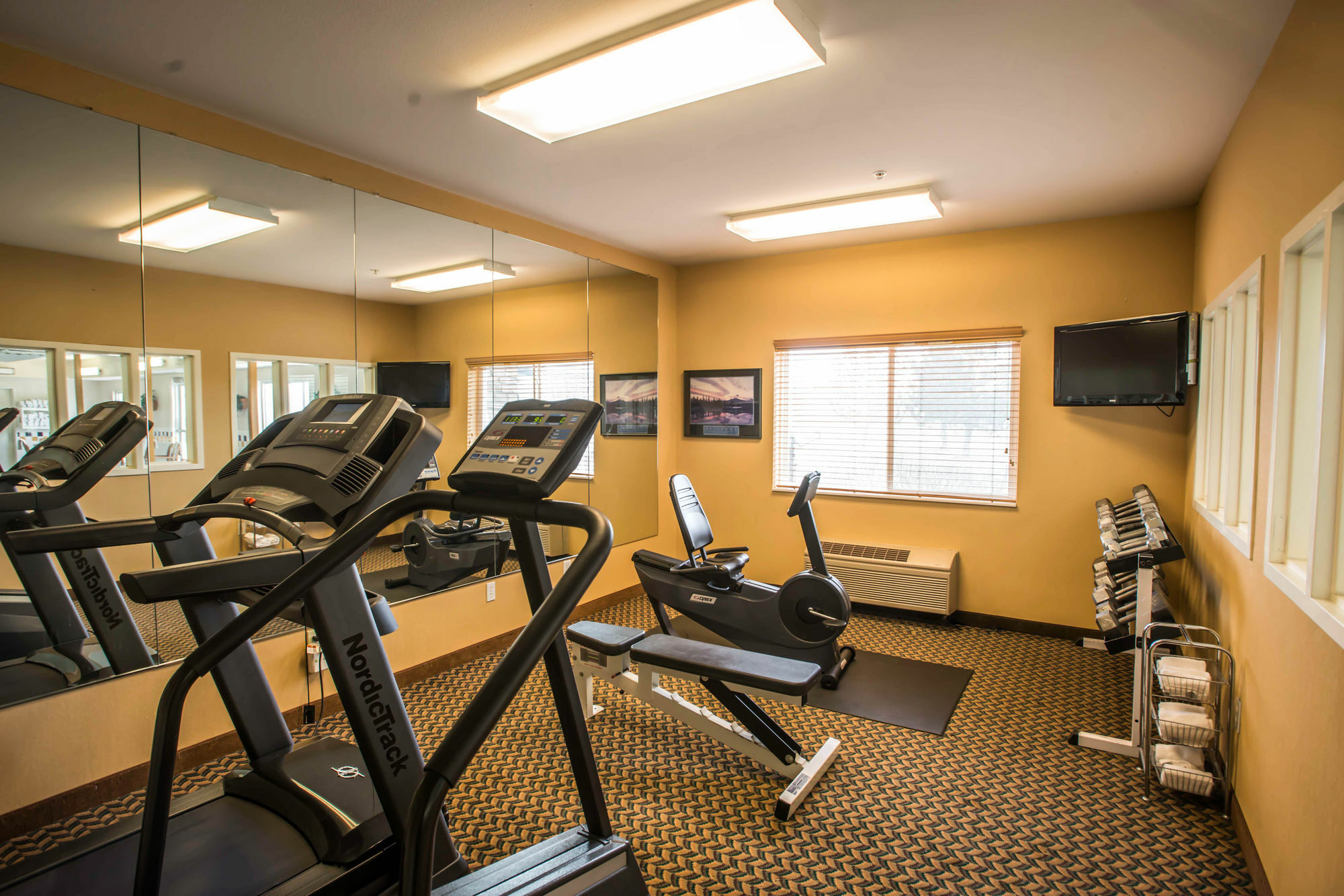 Comfort Inn Fort Collins North Kültér fotó